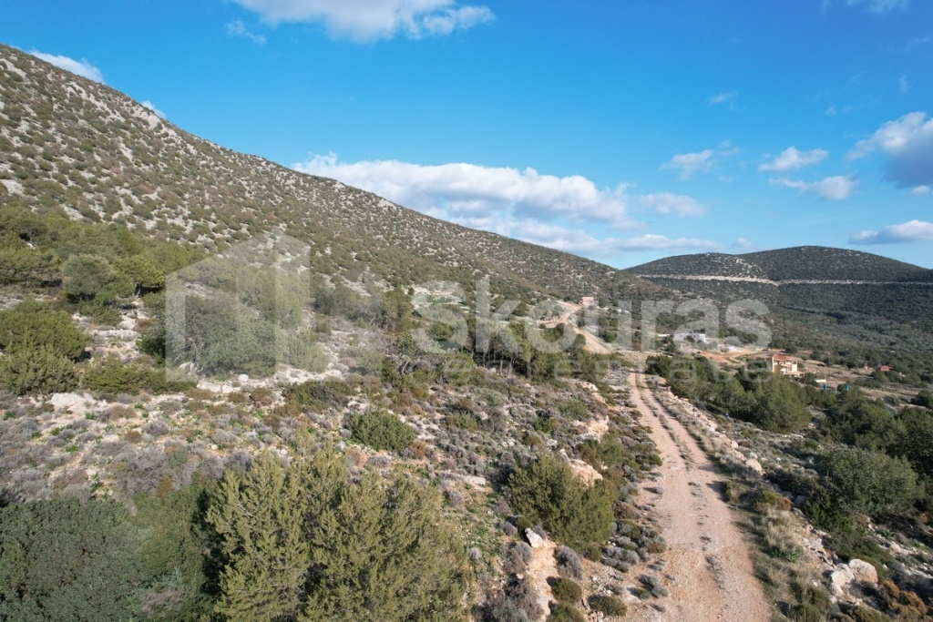 Gallery image 22