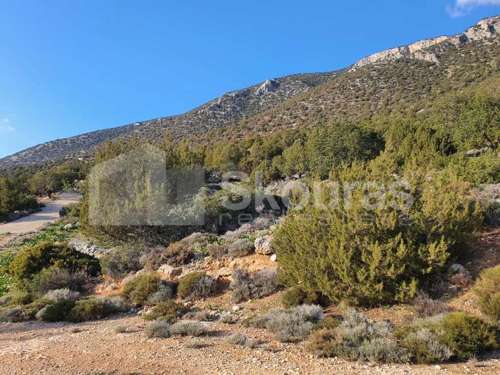 Gallery image 18