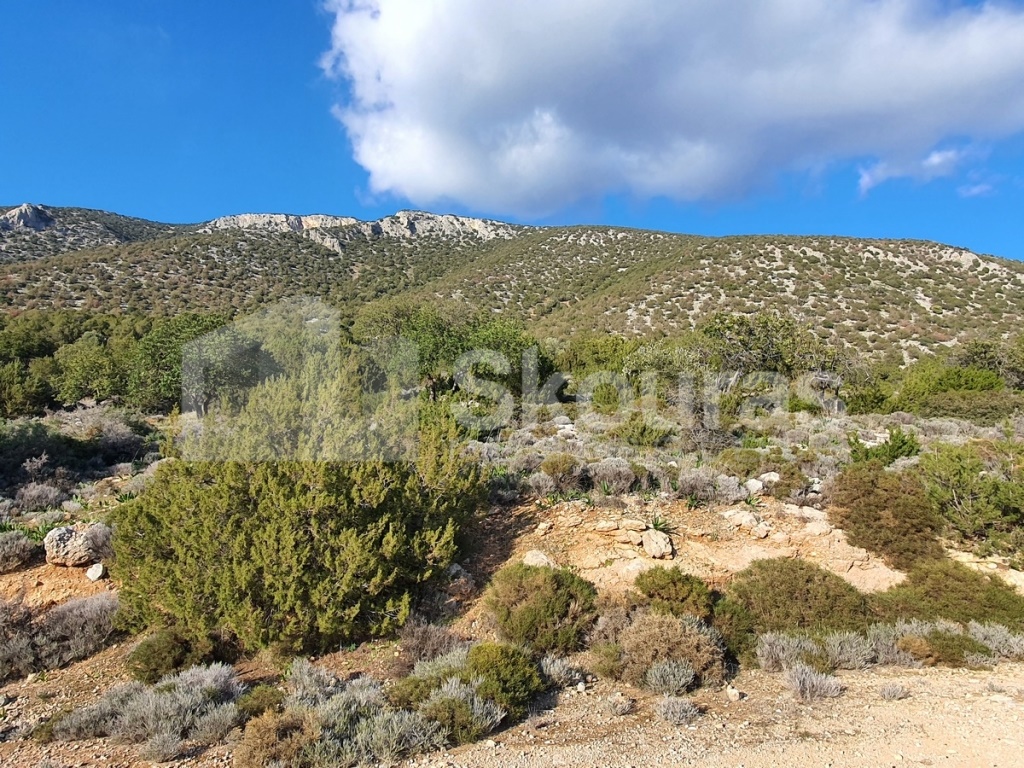 Gallery image 16