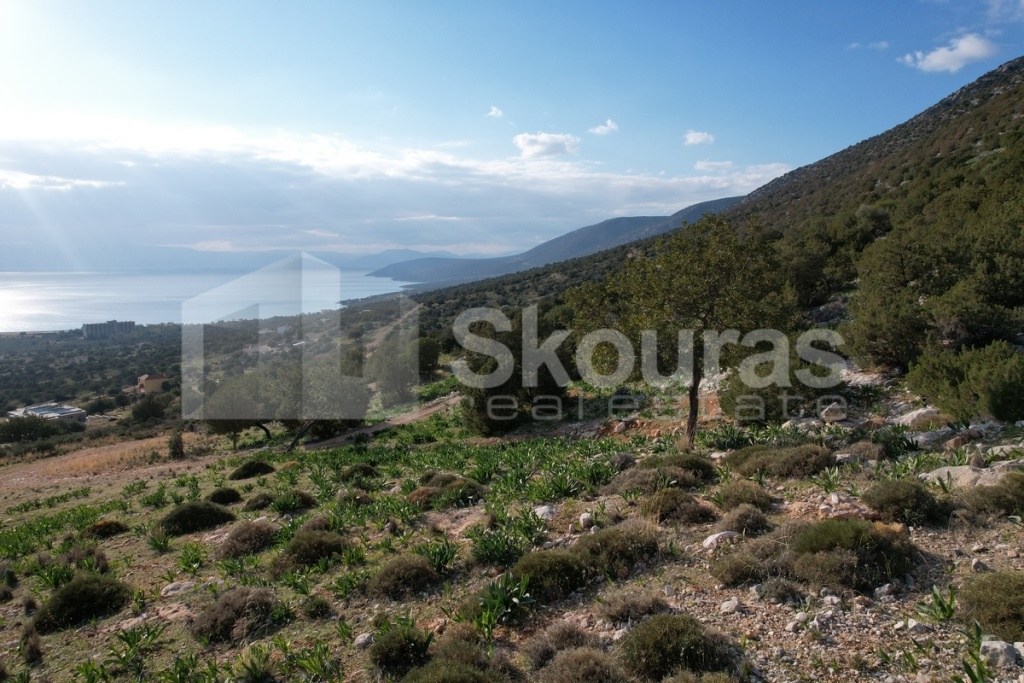 Gallery image 16