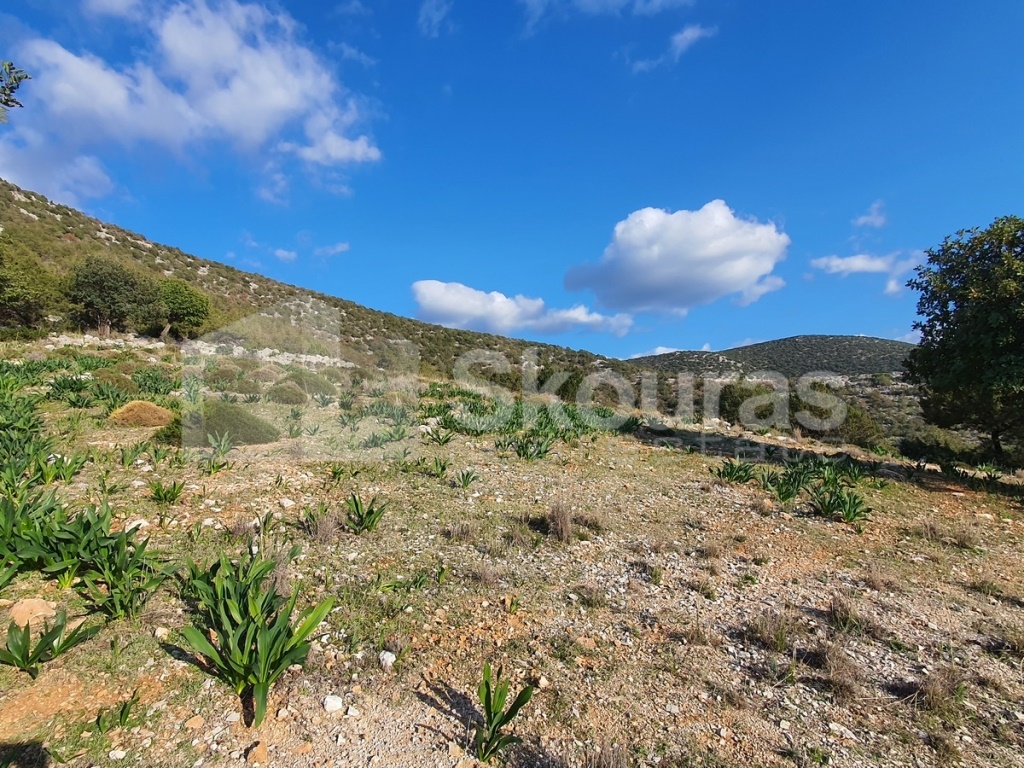 Gallery image 23