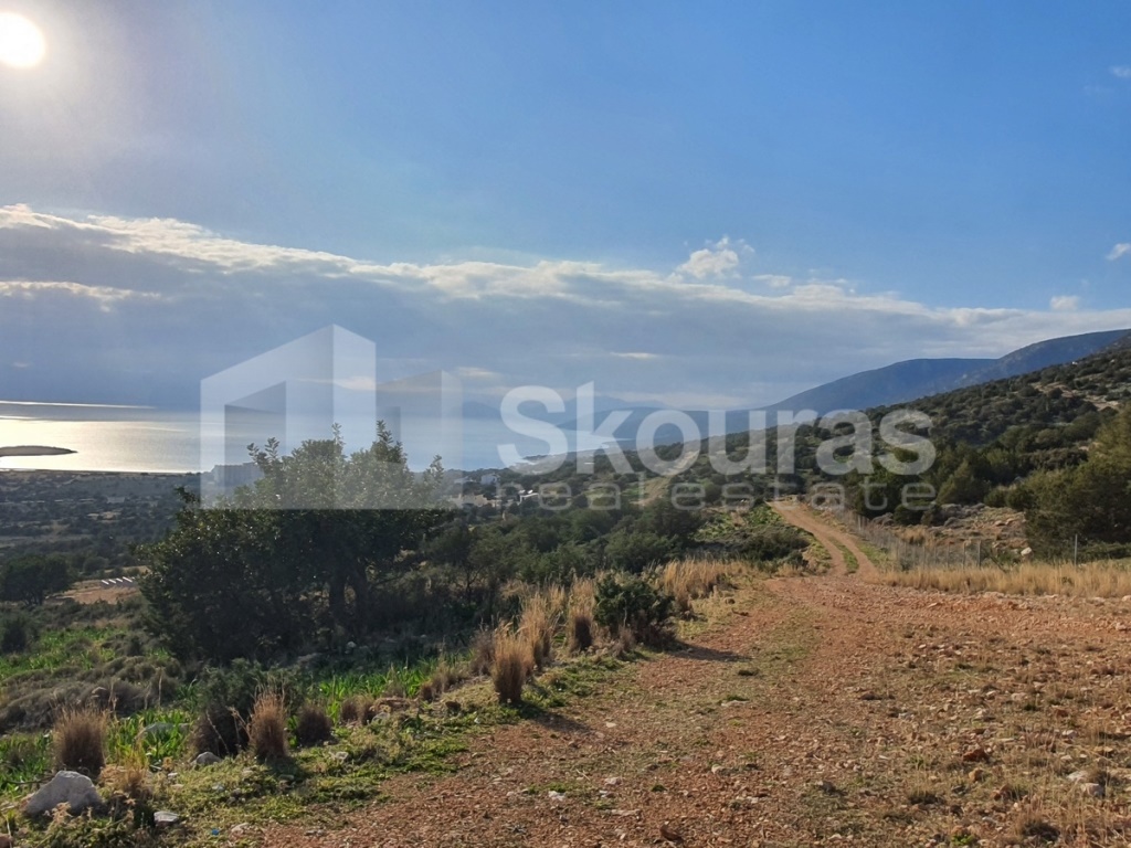 Gallery image 21