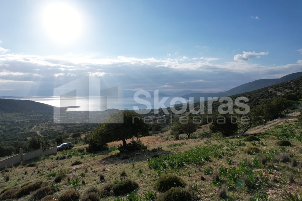 Gallery image 12