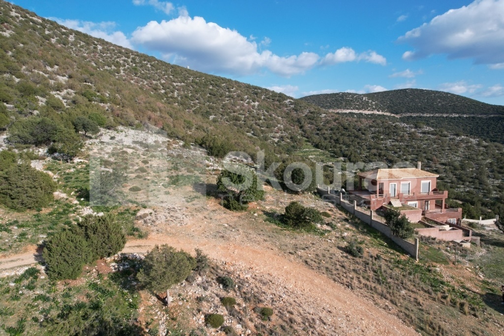 Gallery image 25