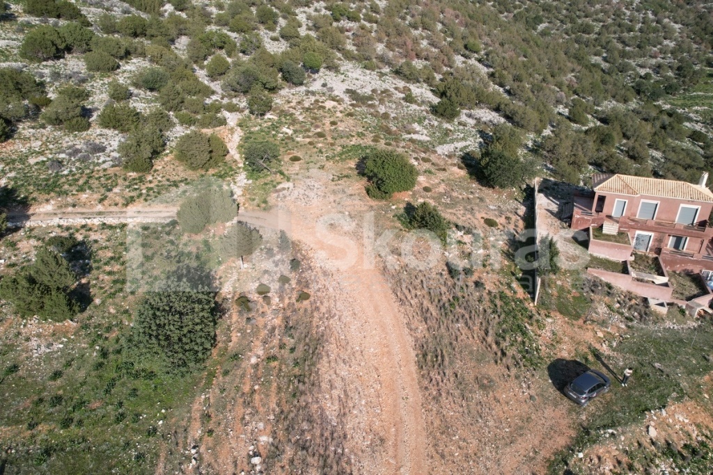 Gallery image 18