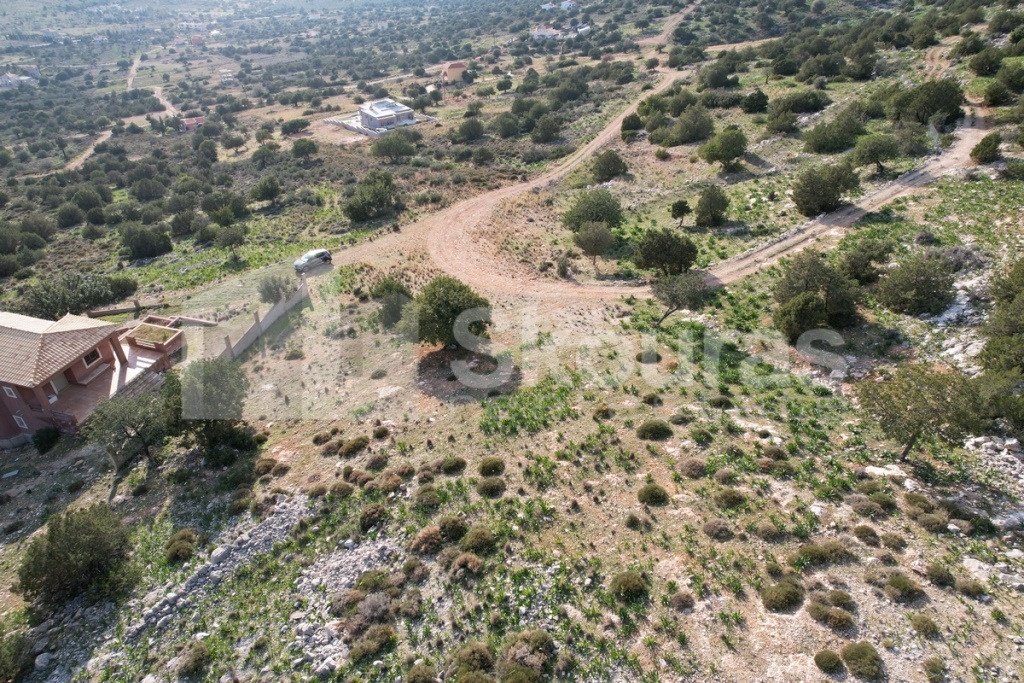 Gallery image 15