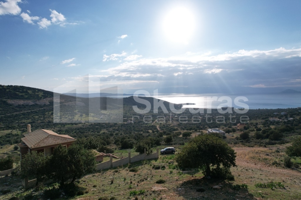 Gallery image 11