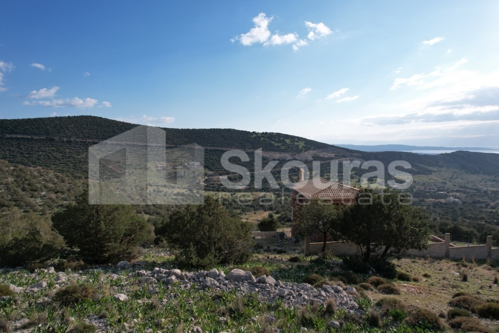 Gallery image 14