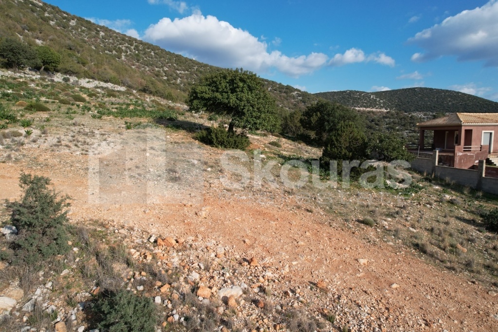 Gallery image 10