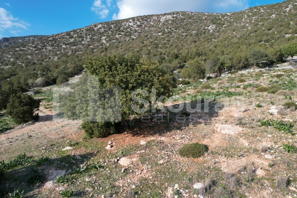 Gallery image 17