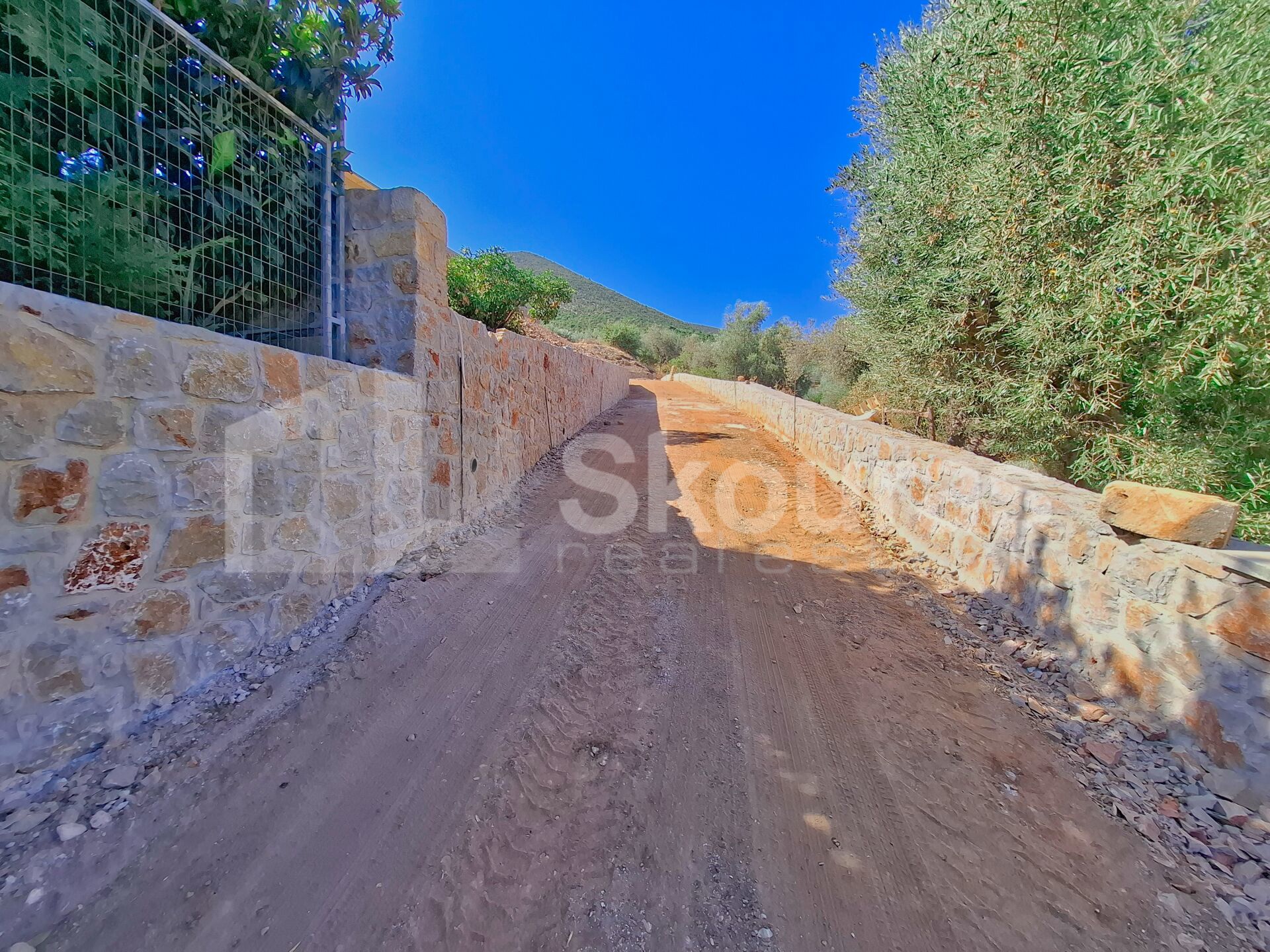 Gallery image 12