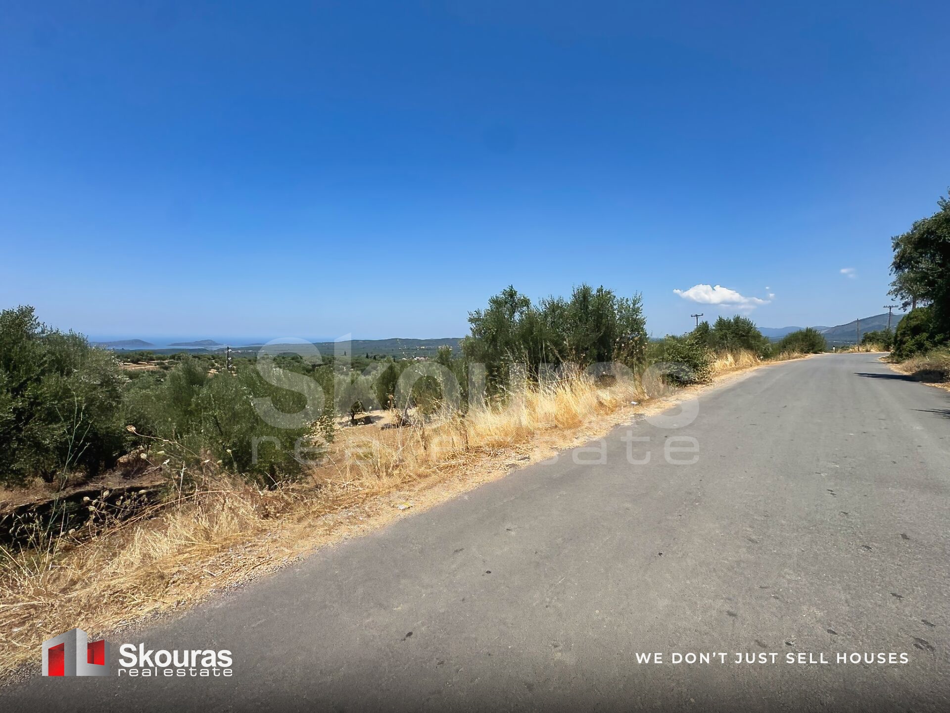 Gallery image 16