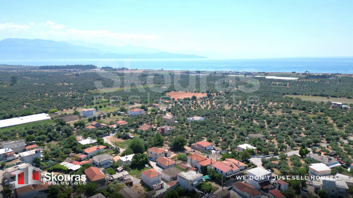 Gallery image 16