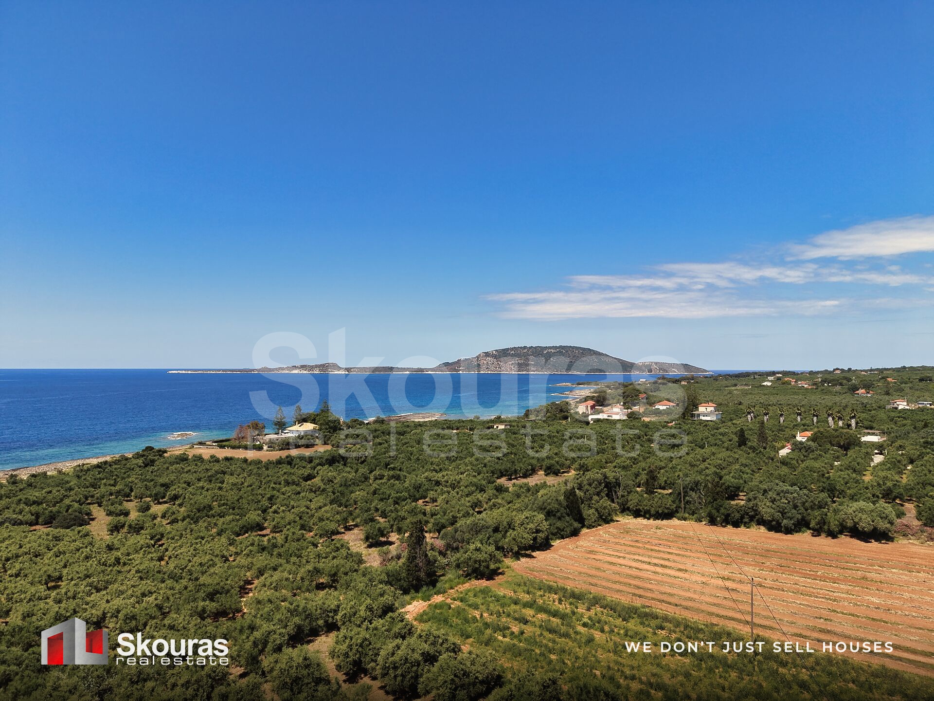 Gallery image 14
