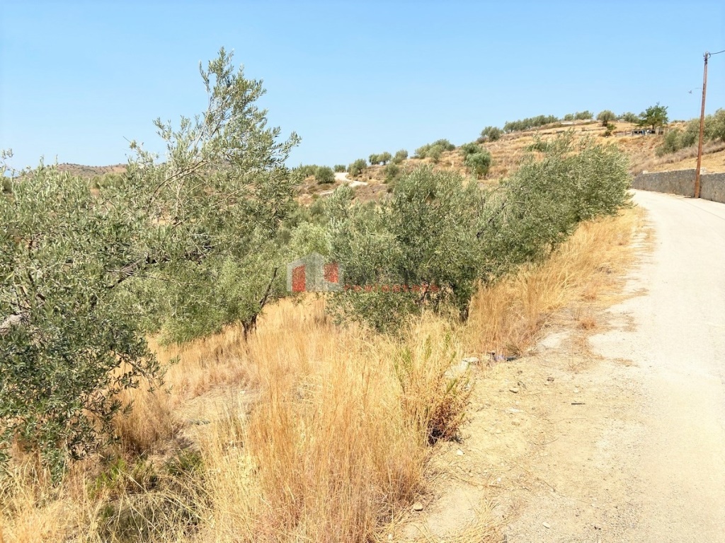 Gallery image 12