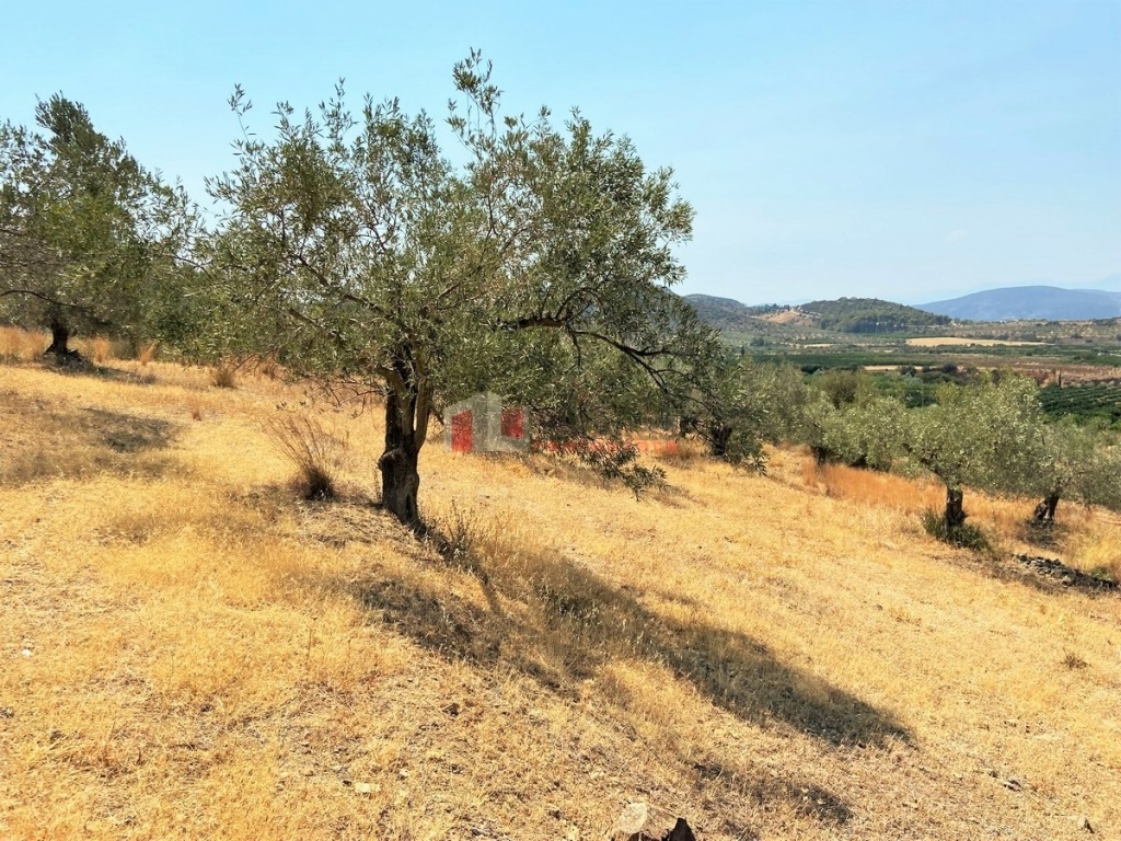 Gallery image 25