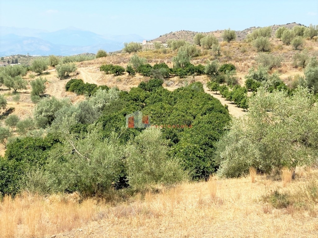 Gallery image 21