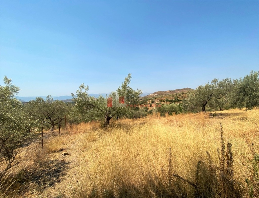 Gallery image 13