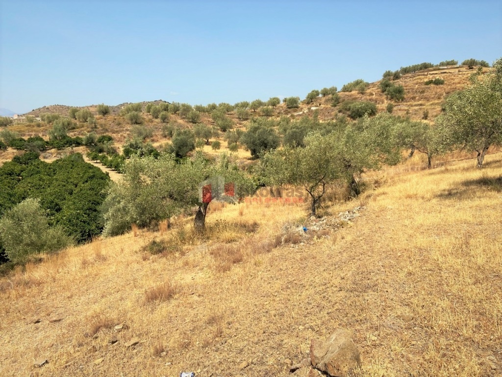 Gallery image 22