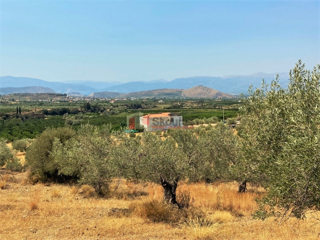 Gallery image 16