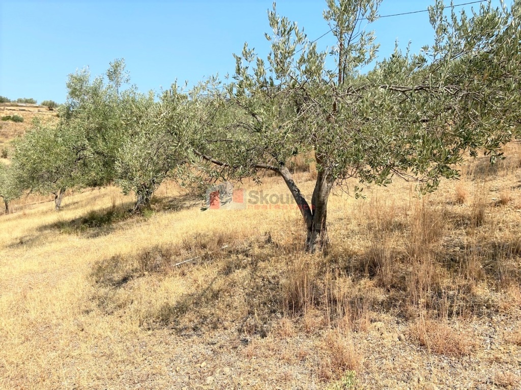 Gallery image 24
