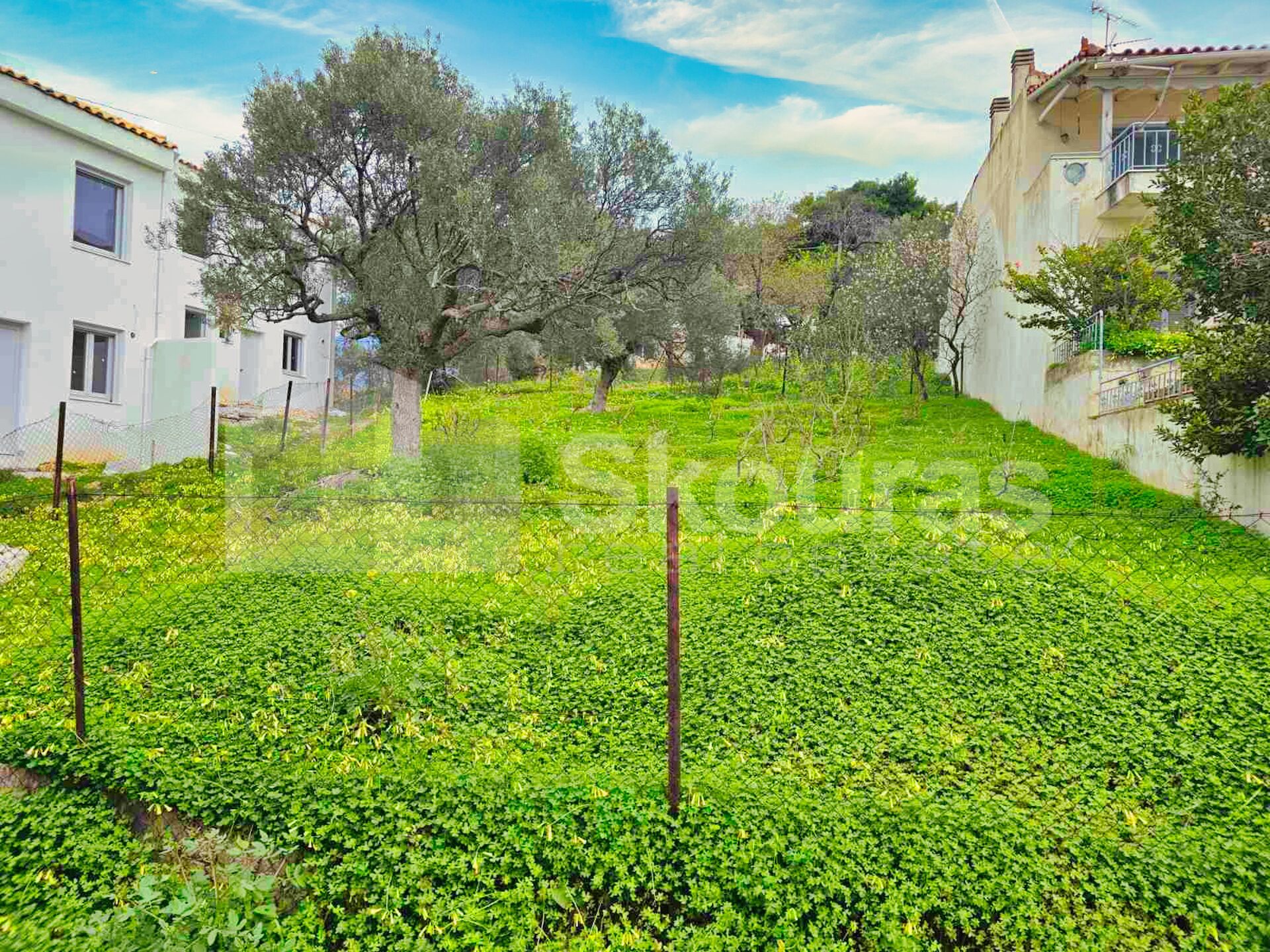Gallery image 10