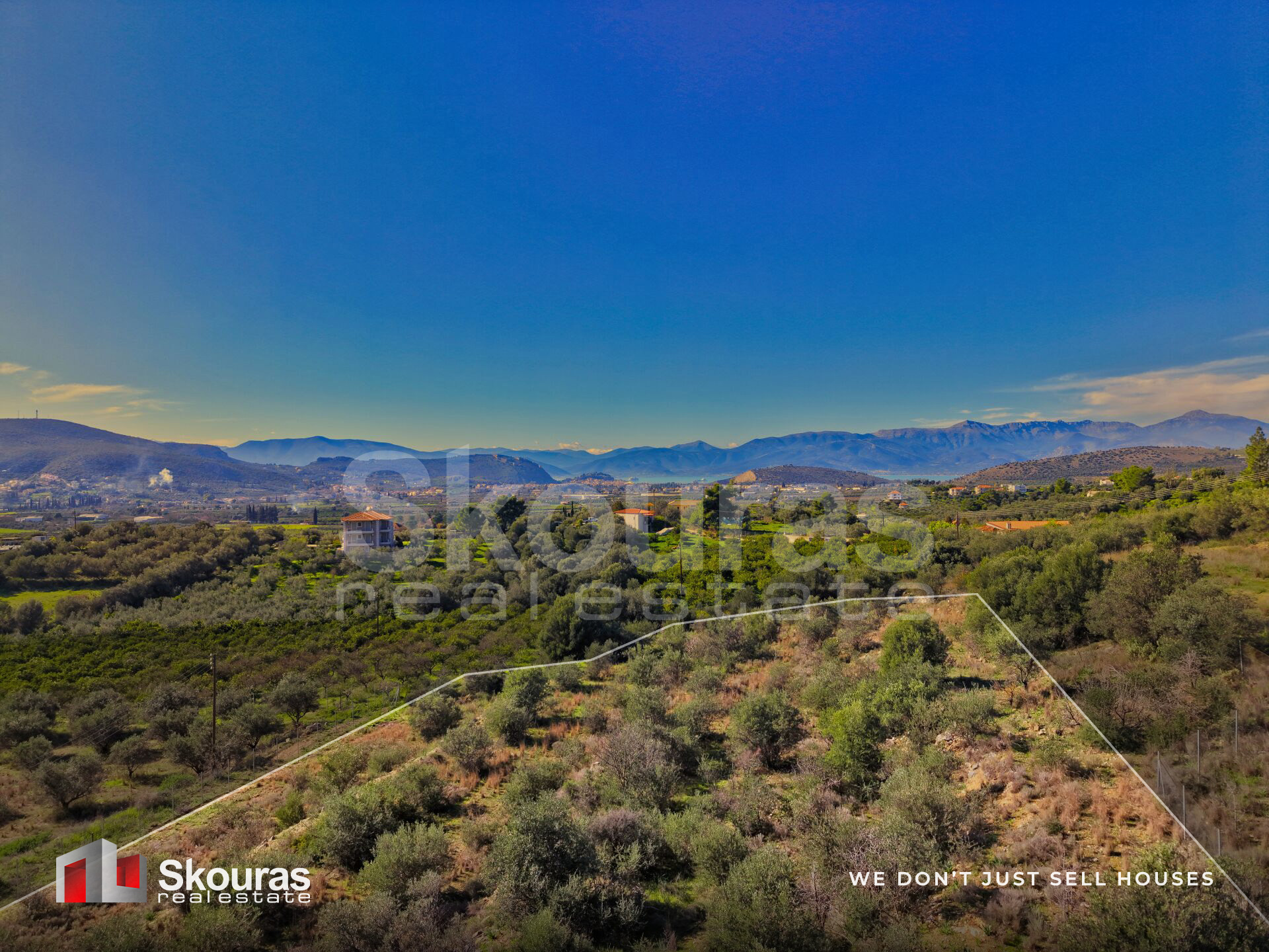 Gallery image 17