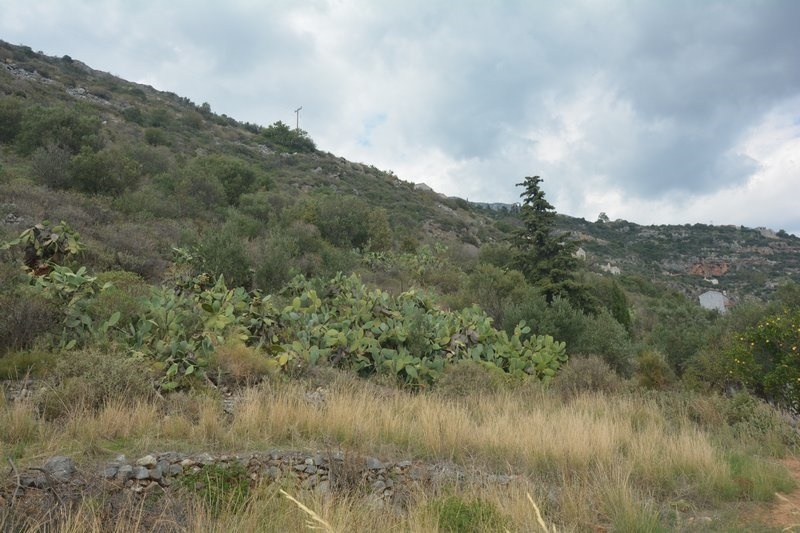 Gallery image 14