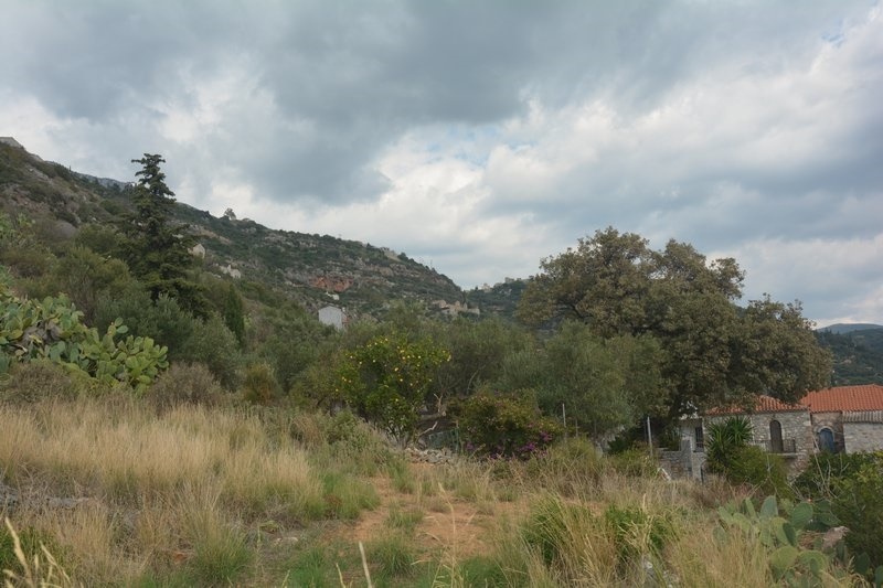 Gallery image 15