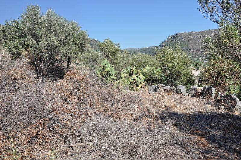 Gallery image 18