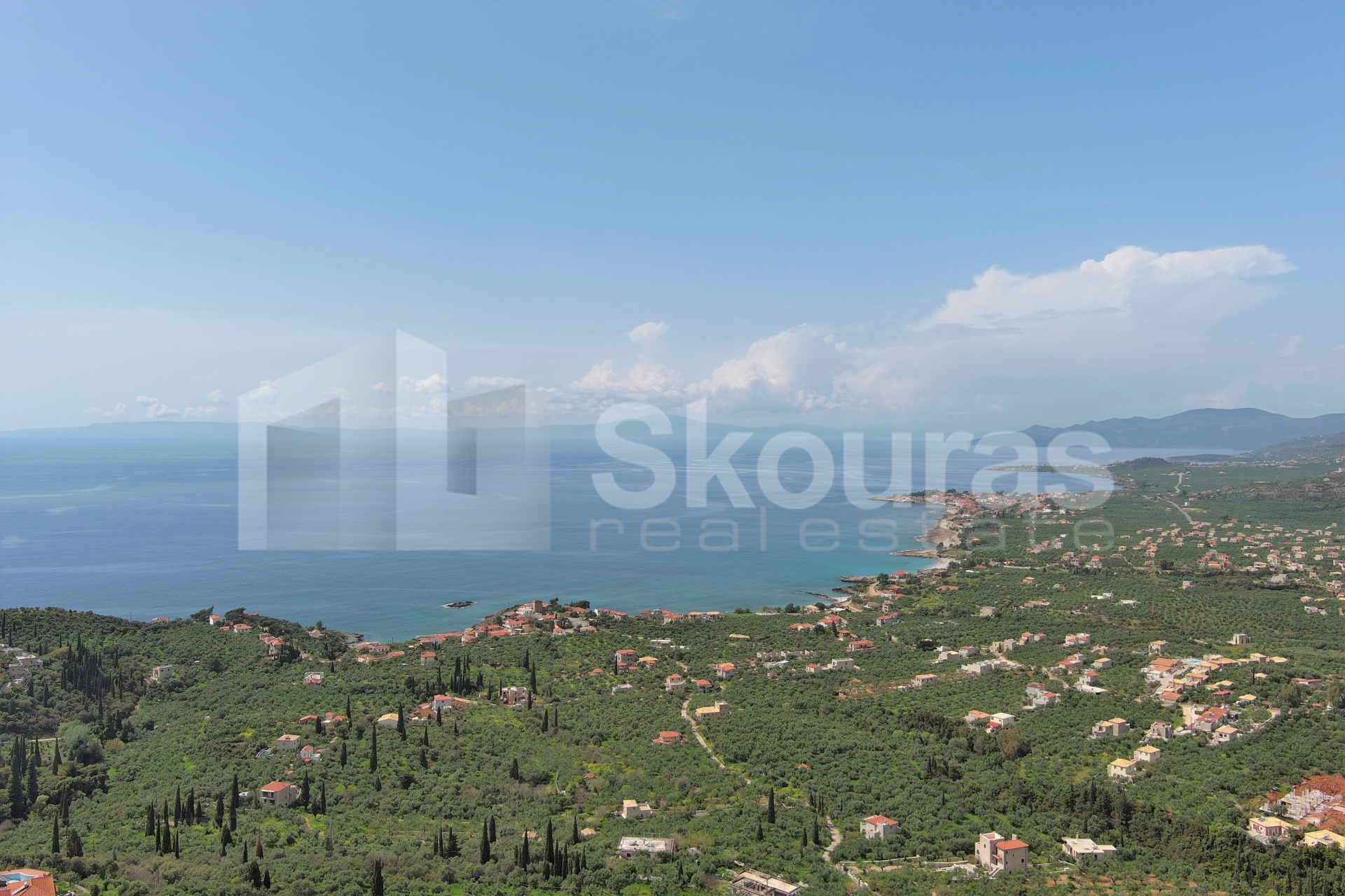 Gallery image 16
