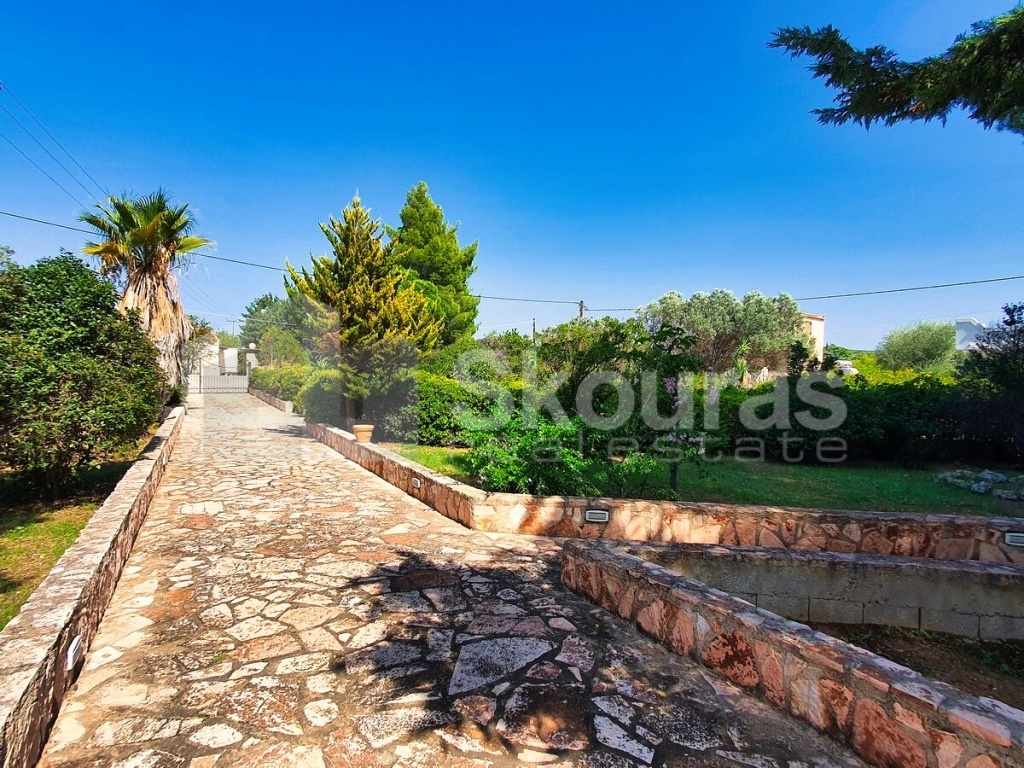 Gallery image 23