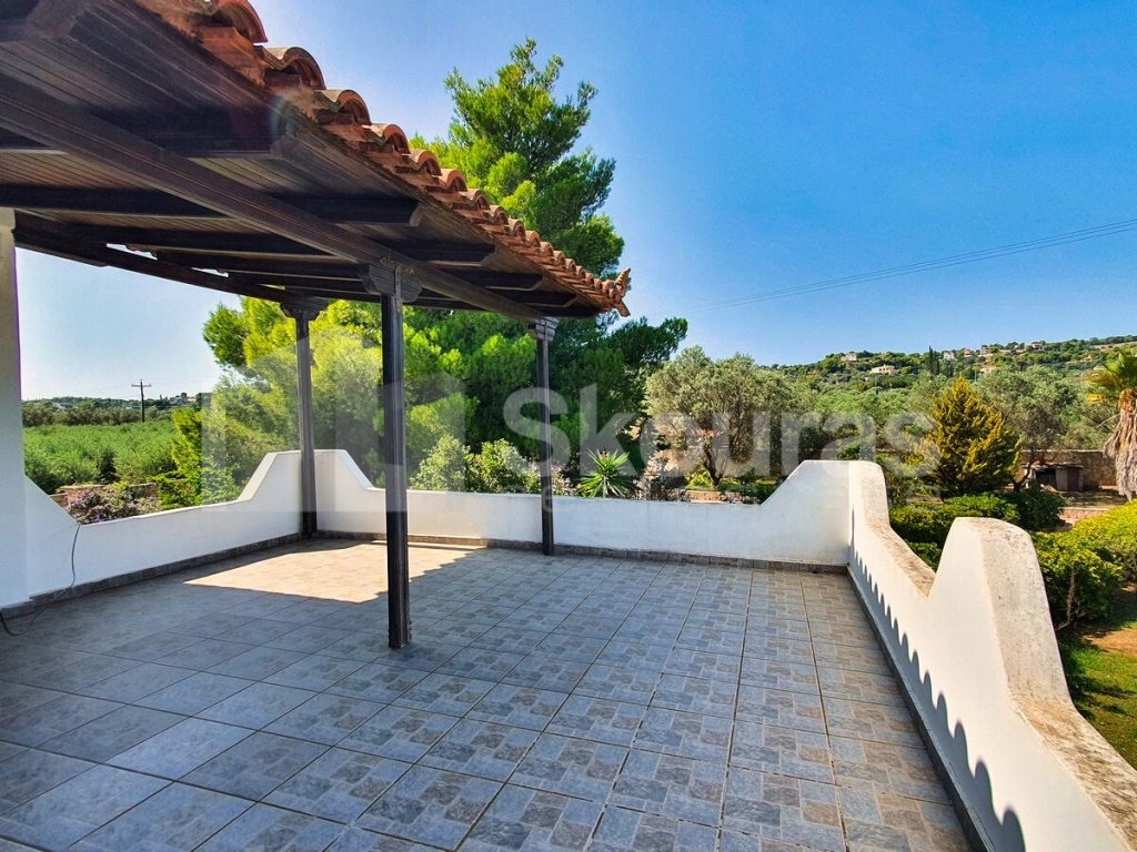 Gallery image 9