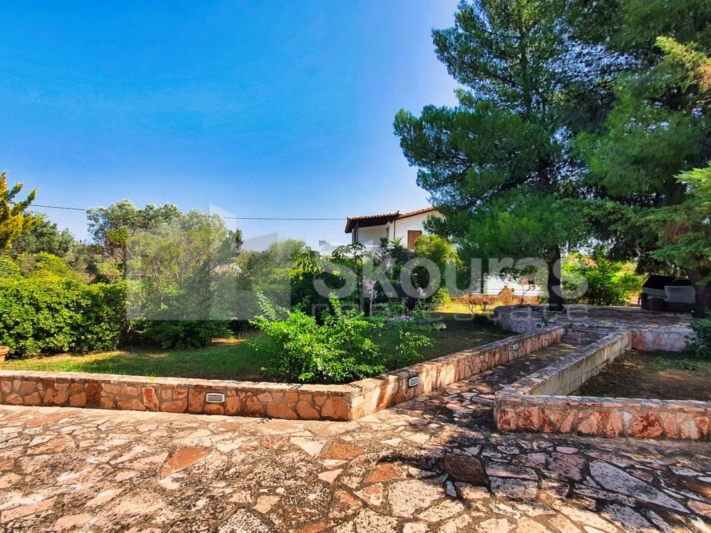 Gallery image 22