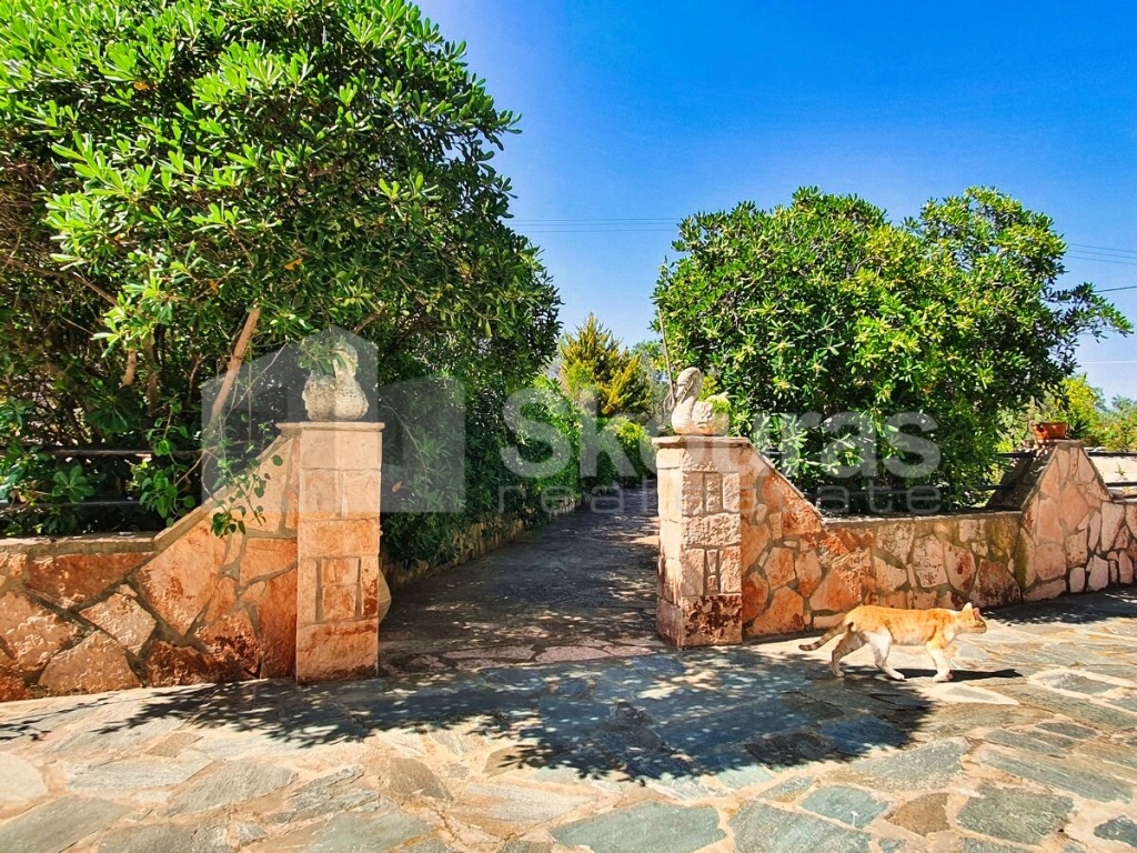 Gallery image 21