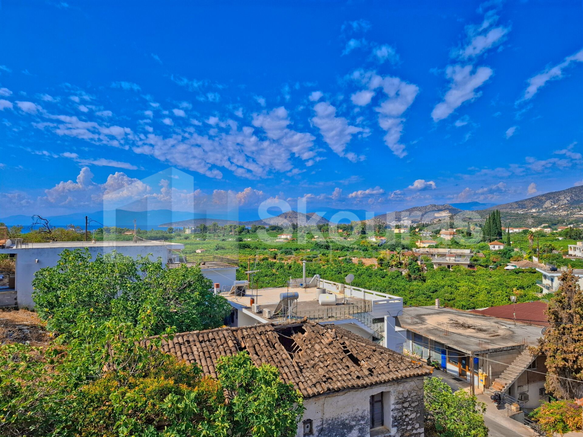 Gallery image 15