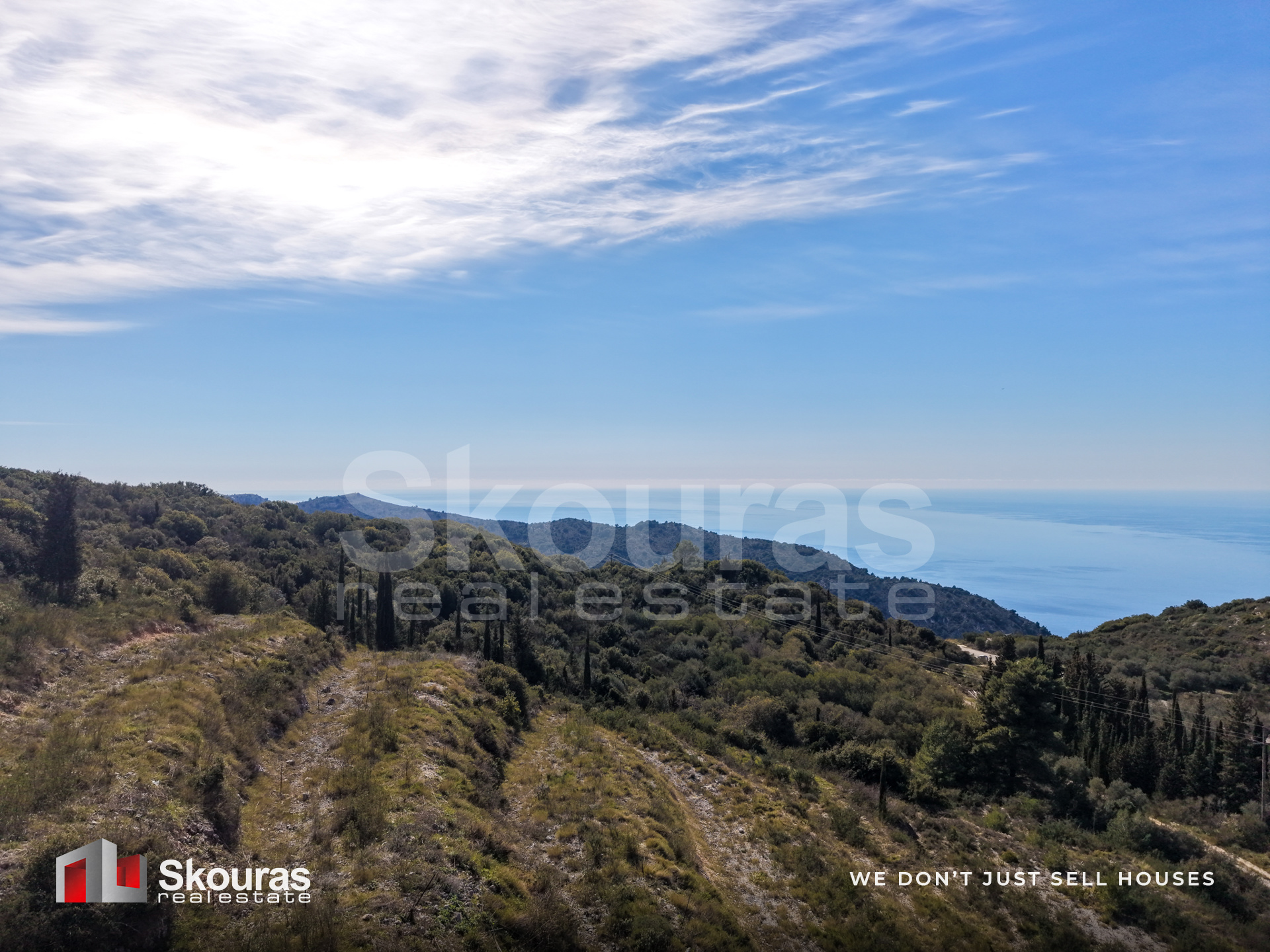 Gallery image 12