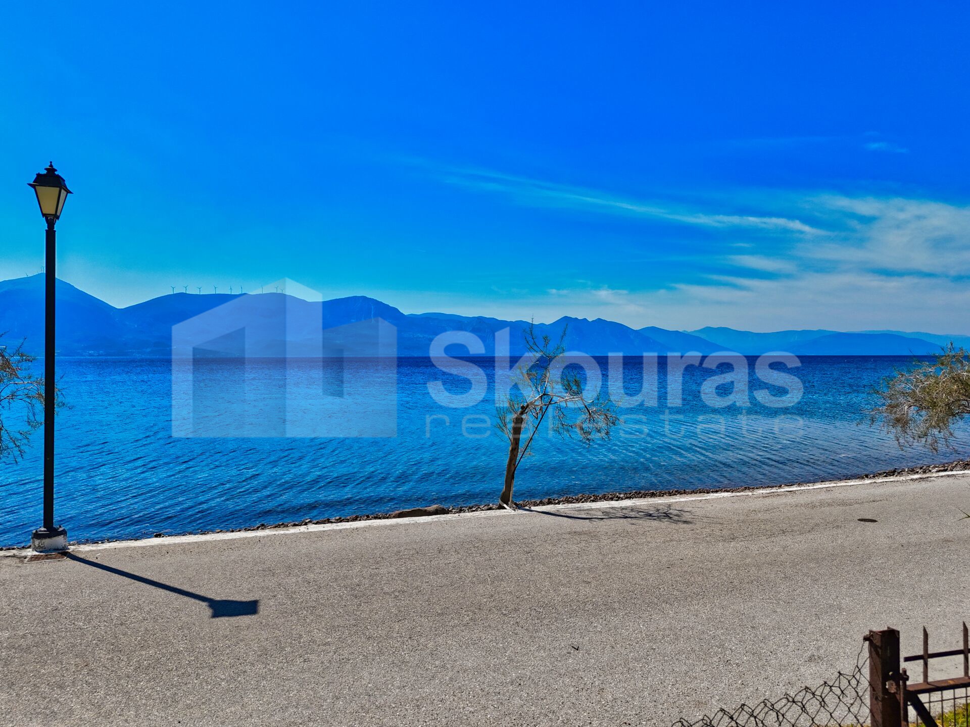 Gallery image 16