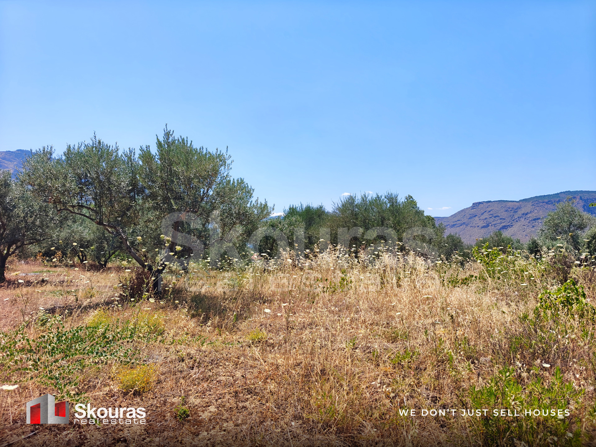 Gallery image 17