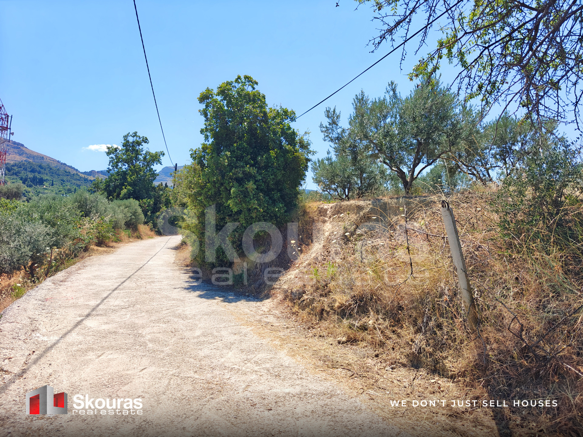 Gallery image 21