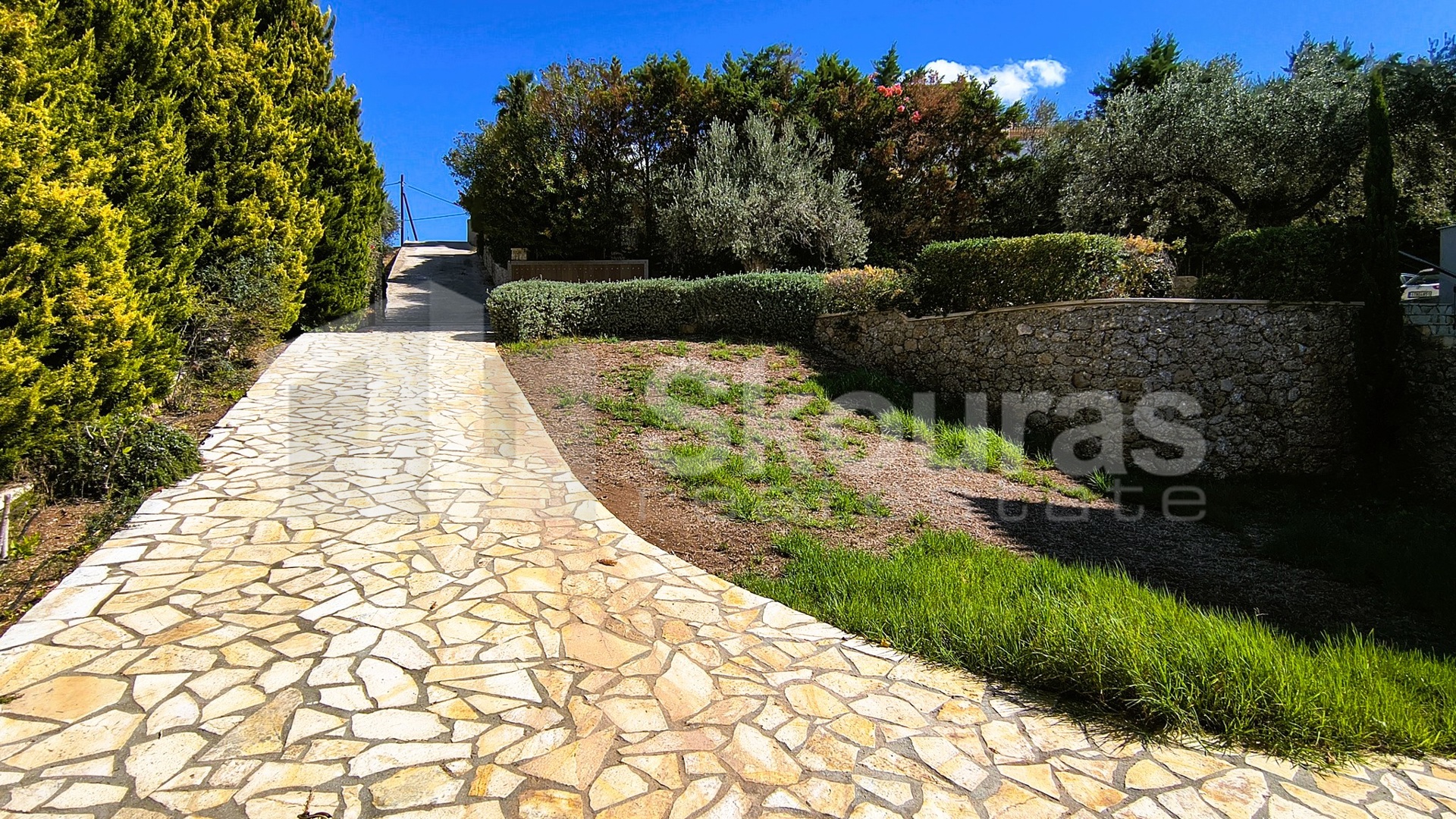 Gallery image 25