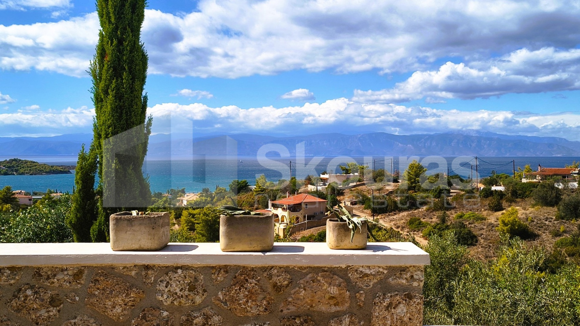 Gallery image 10