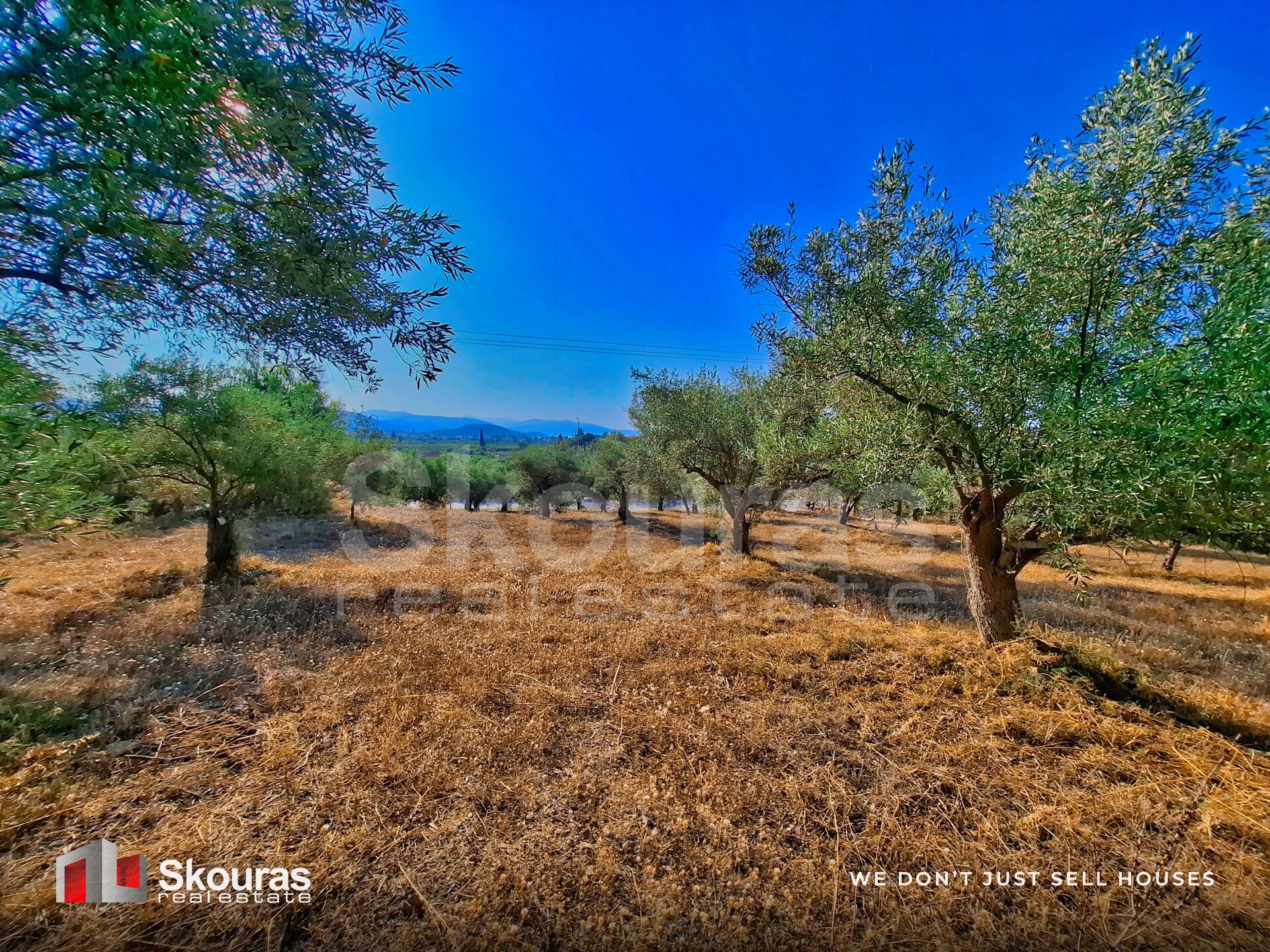 Gallery image 11