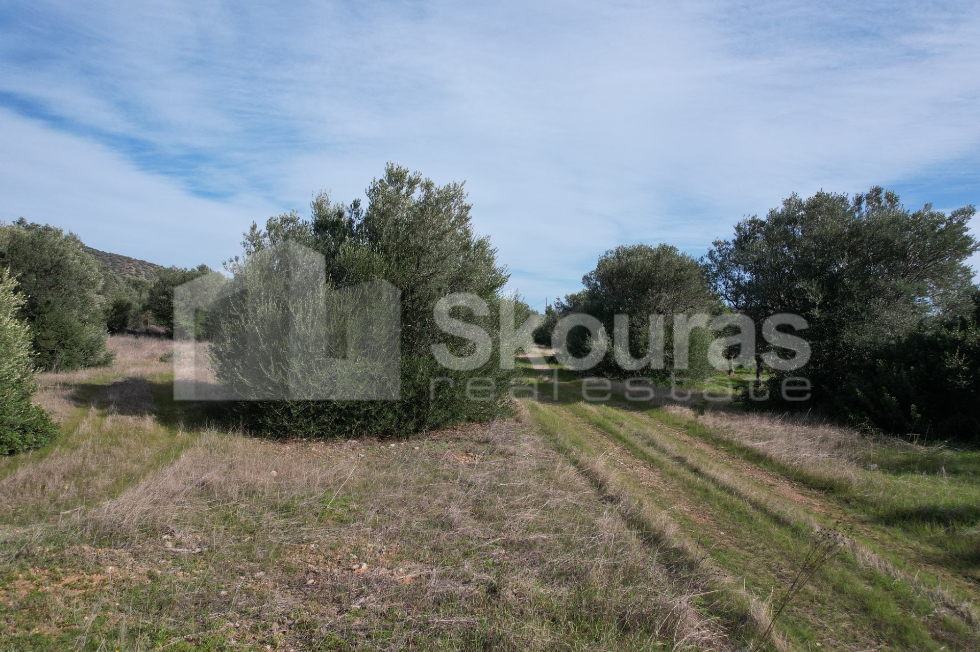 Gallery image 25