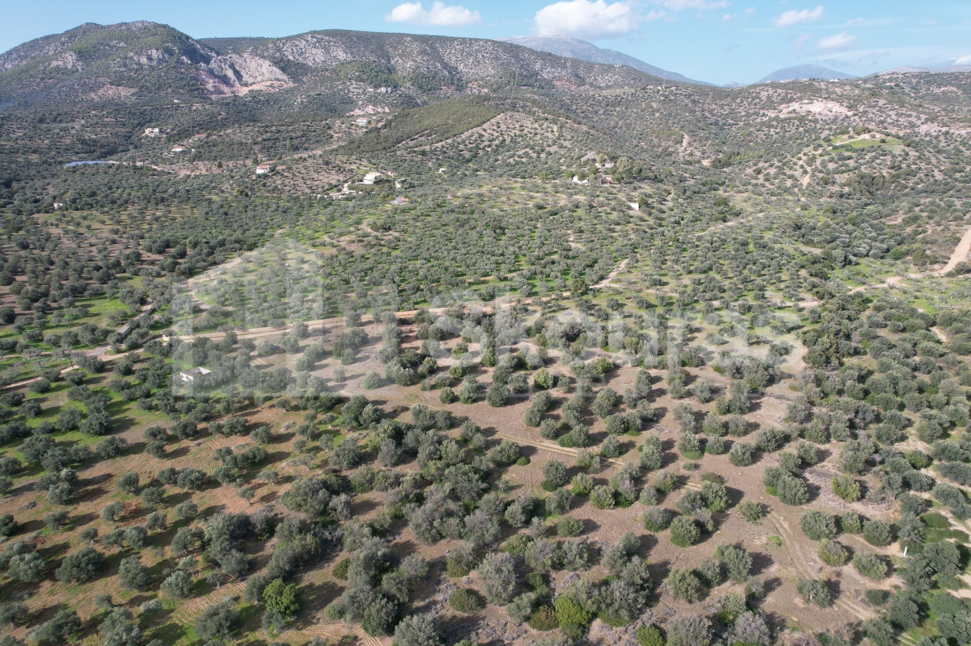 Gallery image 16