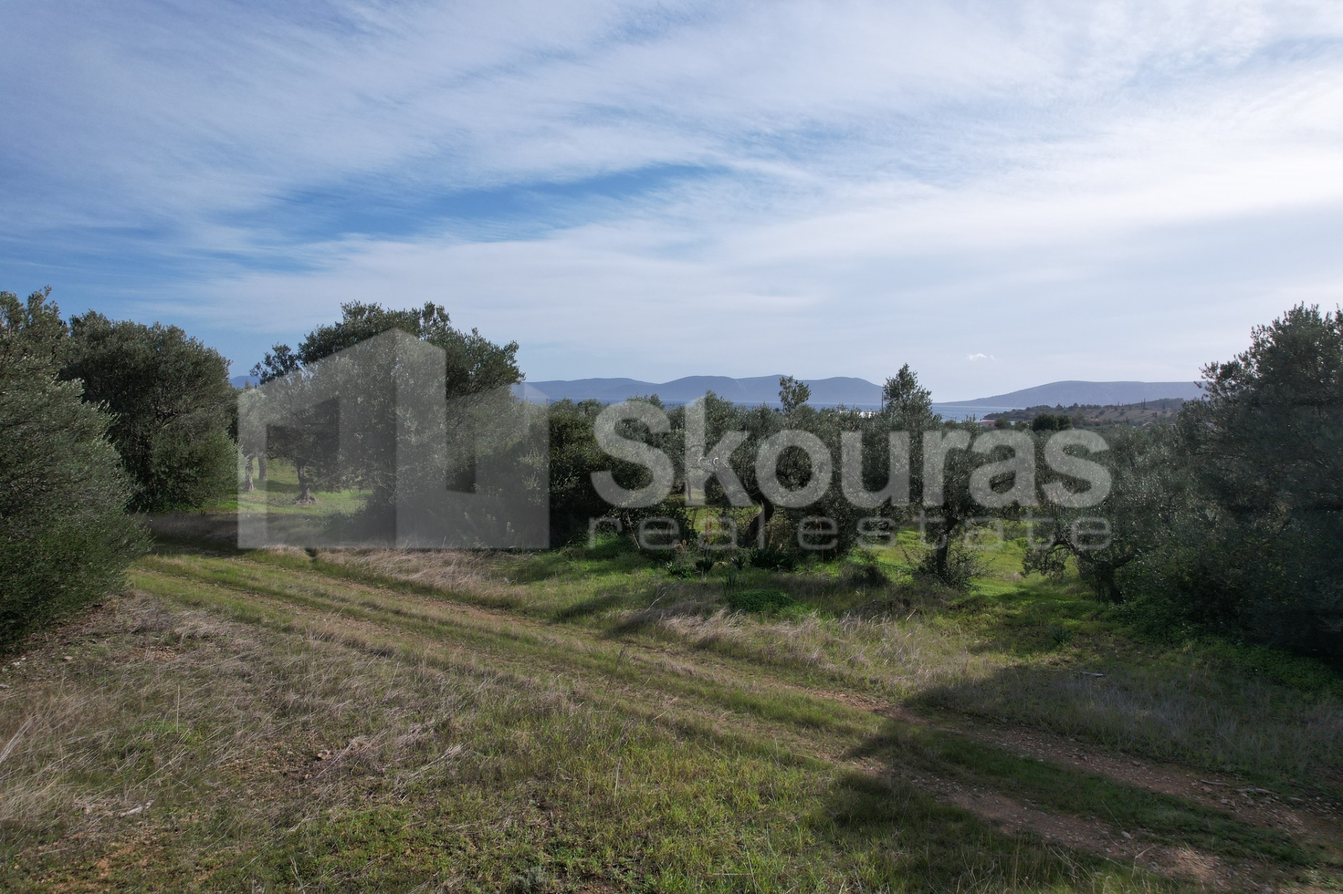 Gallery image 21