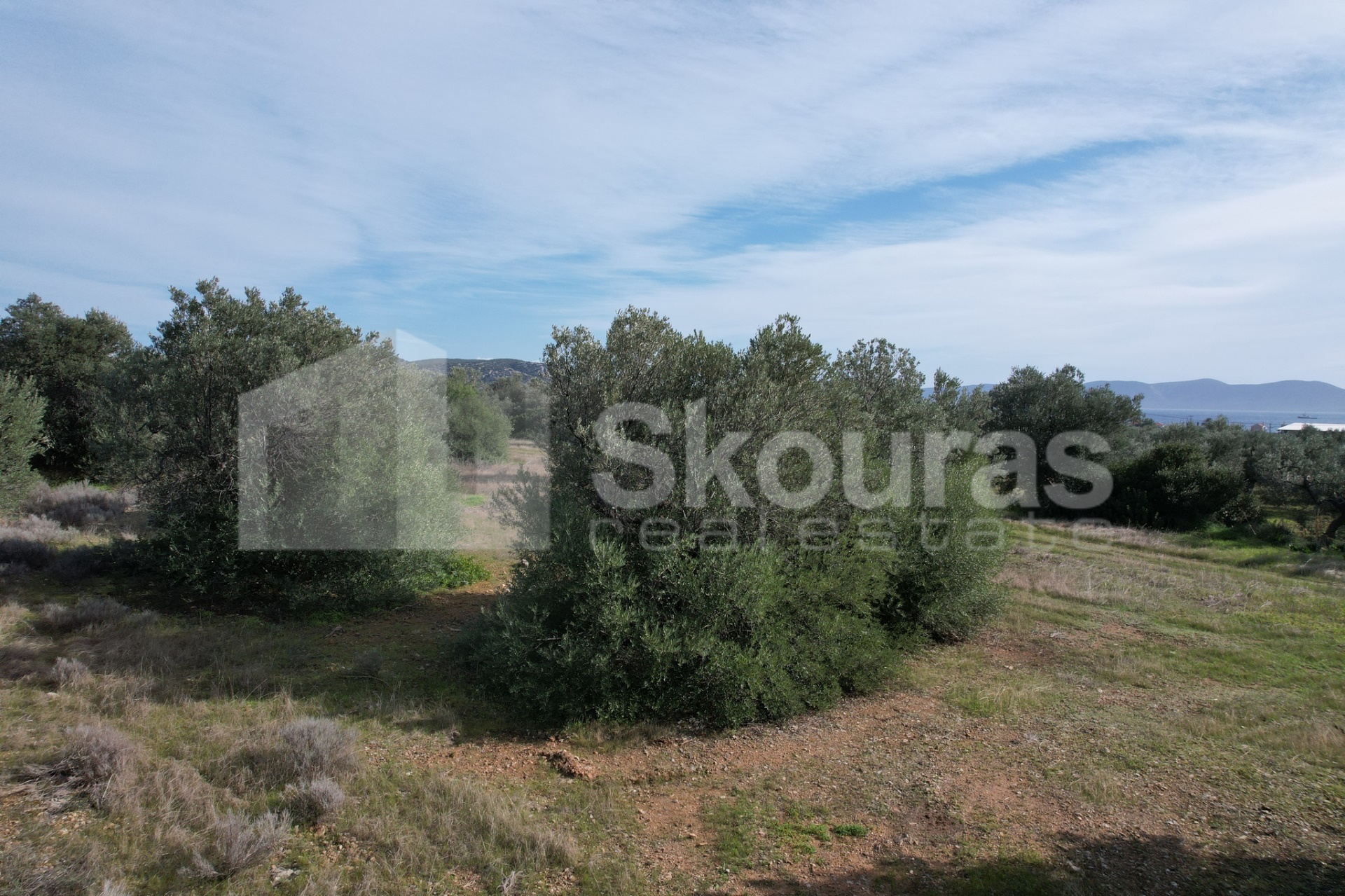 Gallery image 10