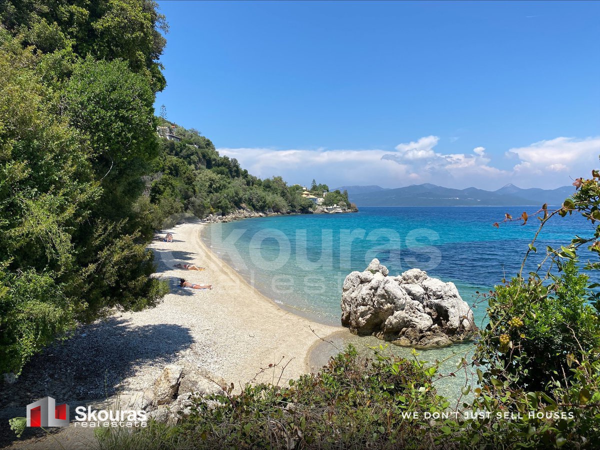 Gallery image 41