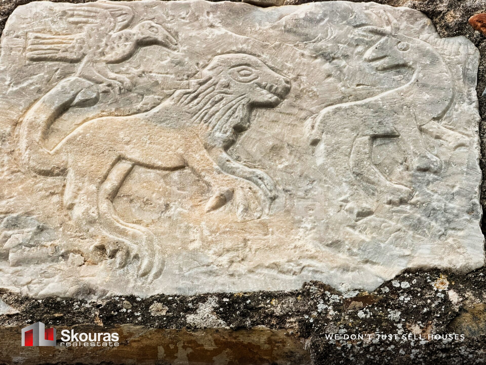 Gallery image 17