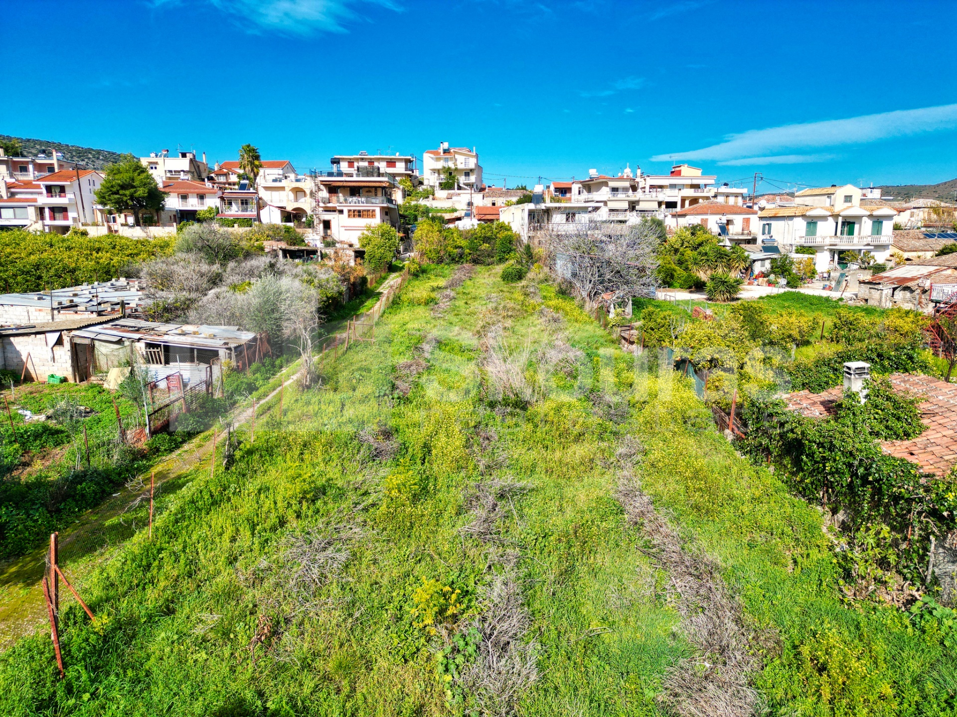 Gallery image 7